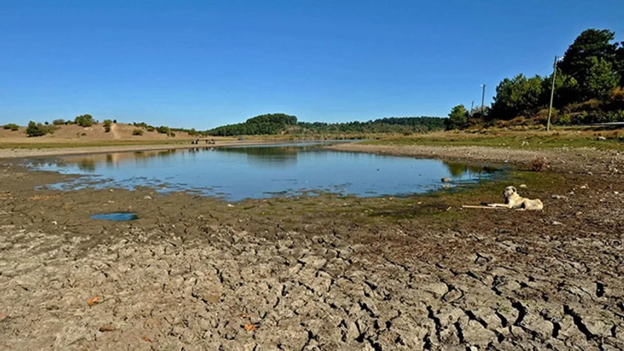 Kokuteli Su Krizi (2)