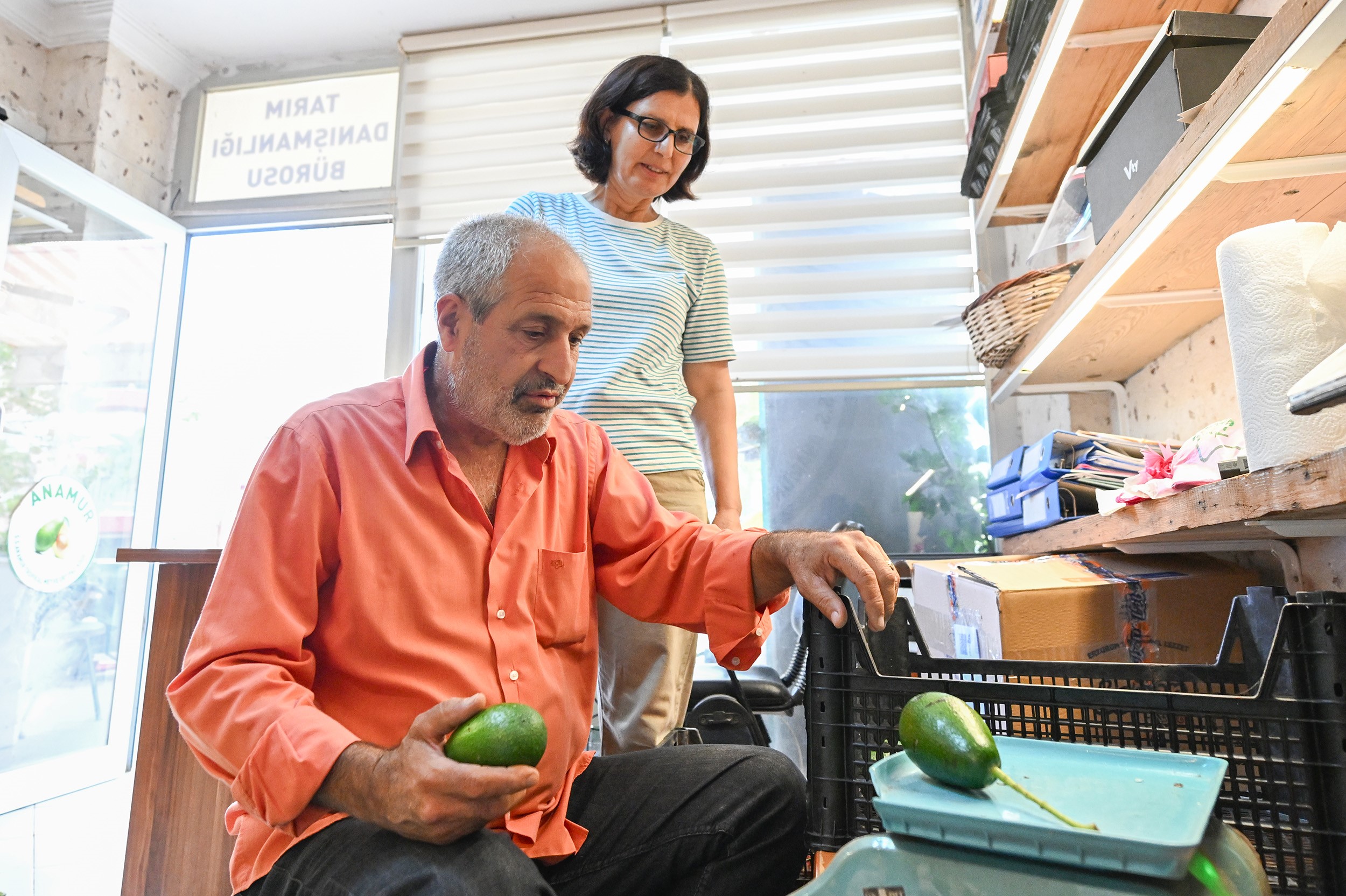 Mersin’de Çiftçiye Tropikal Meyve Desteği (1)