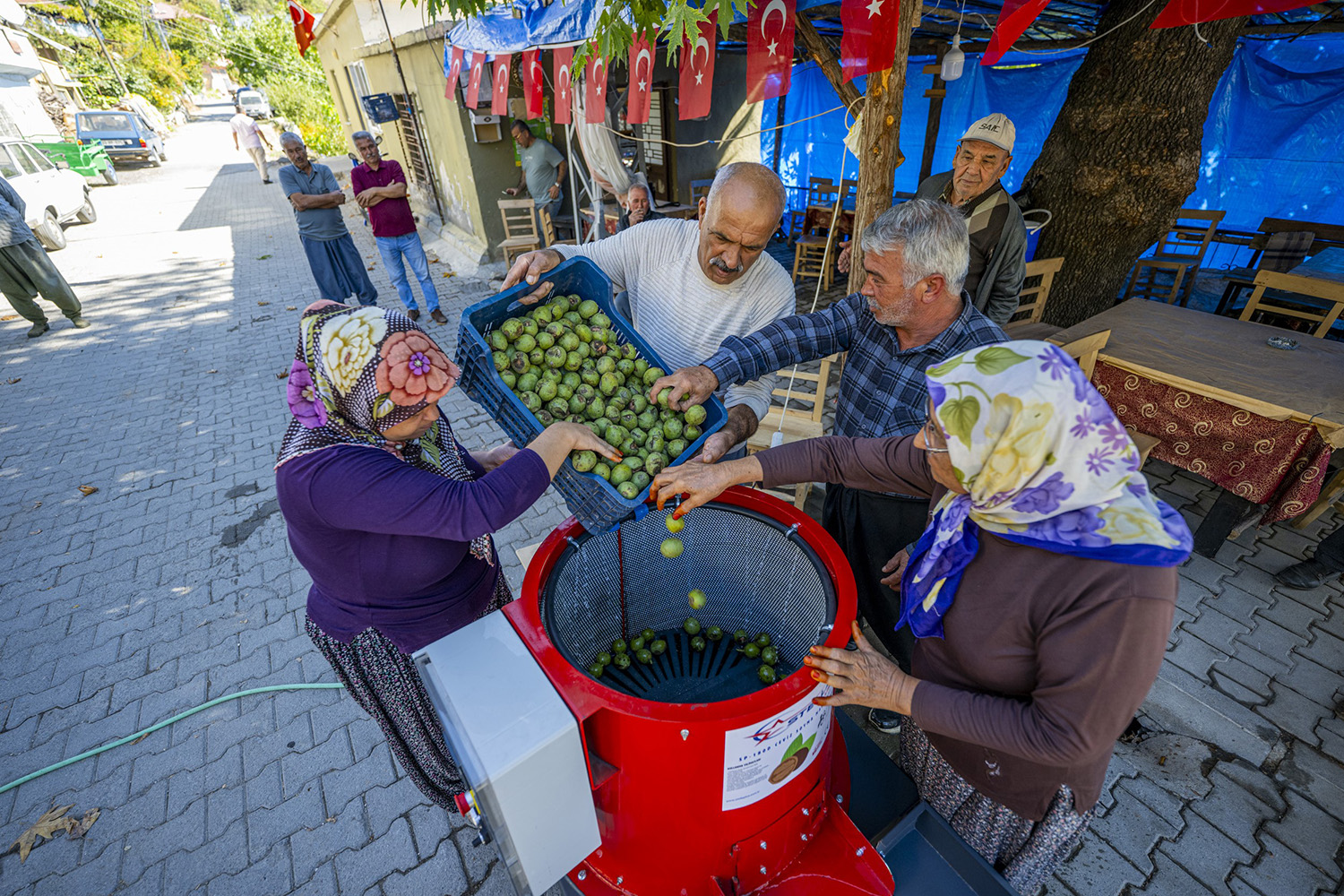 Mersin'de Üreticiye Ceviz Soyma Makinesi Desteği (2)