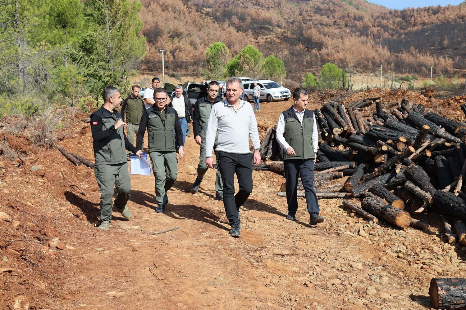 Muglada Yanan Ormanlar Yeniden Yeserecek (4)