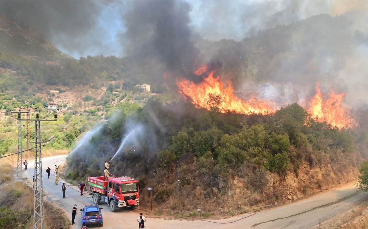 Orman Yangını (5)-1