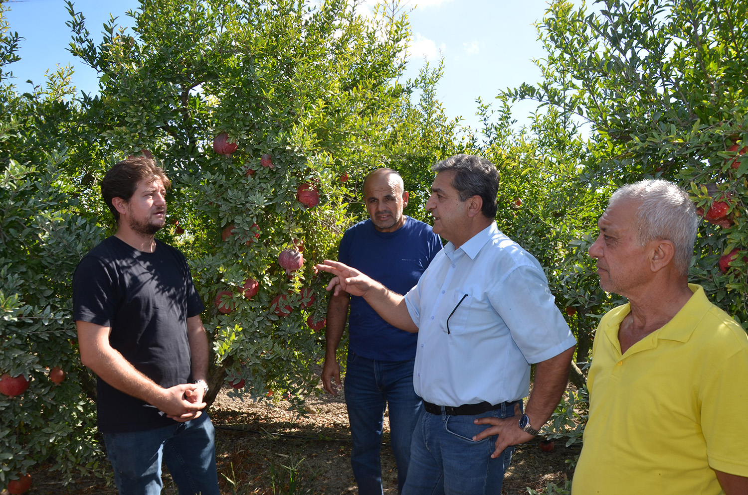 S E R I K T E N A R H A S A D I B A S L A D I 950138 282099