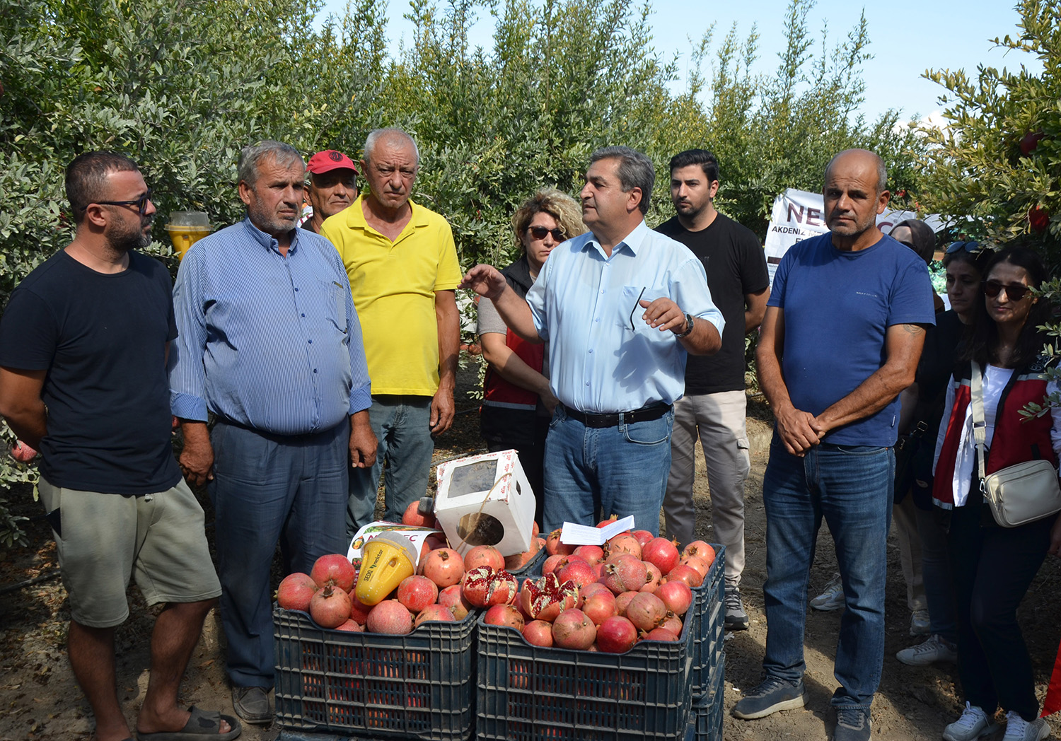 S E R I K T E N A R H A S A D I B A S L A D I 950139 282099