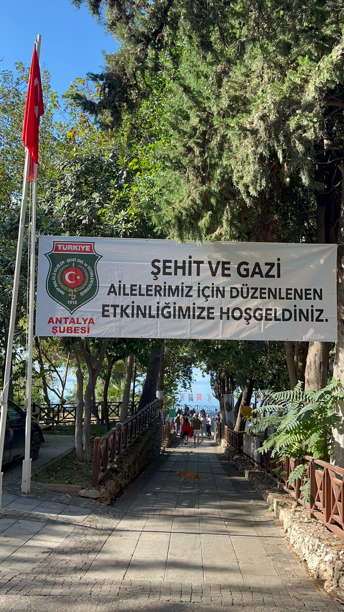 Şehit Ve Gazi (5)
