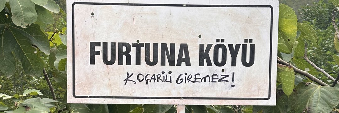 Tasacak Bu Deniz Soy Agaci 2