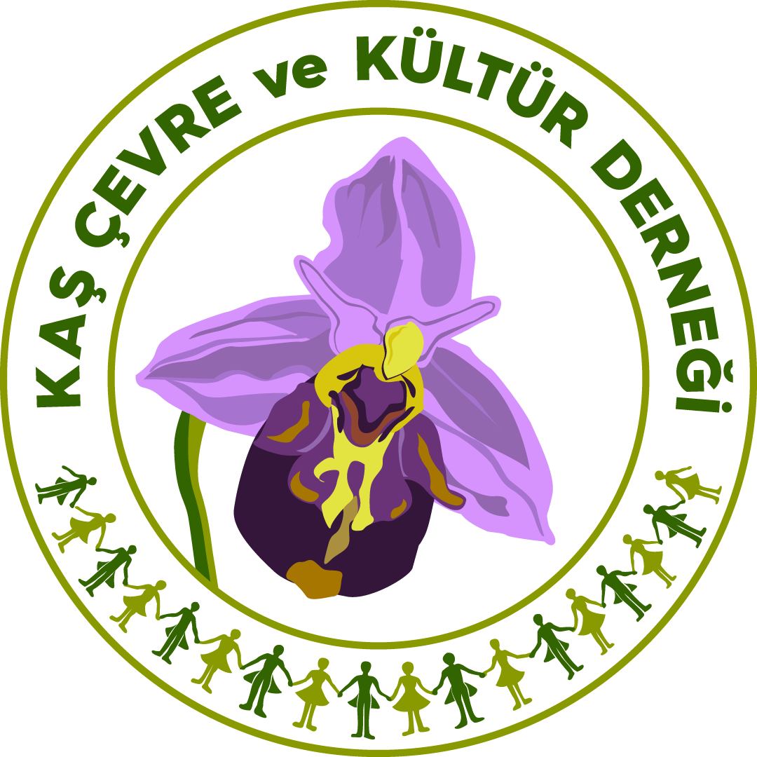 Tescilli Alanda Mermer Ocagi Insaati Kuruldu (8)