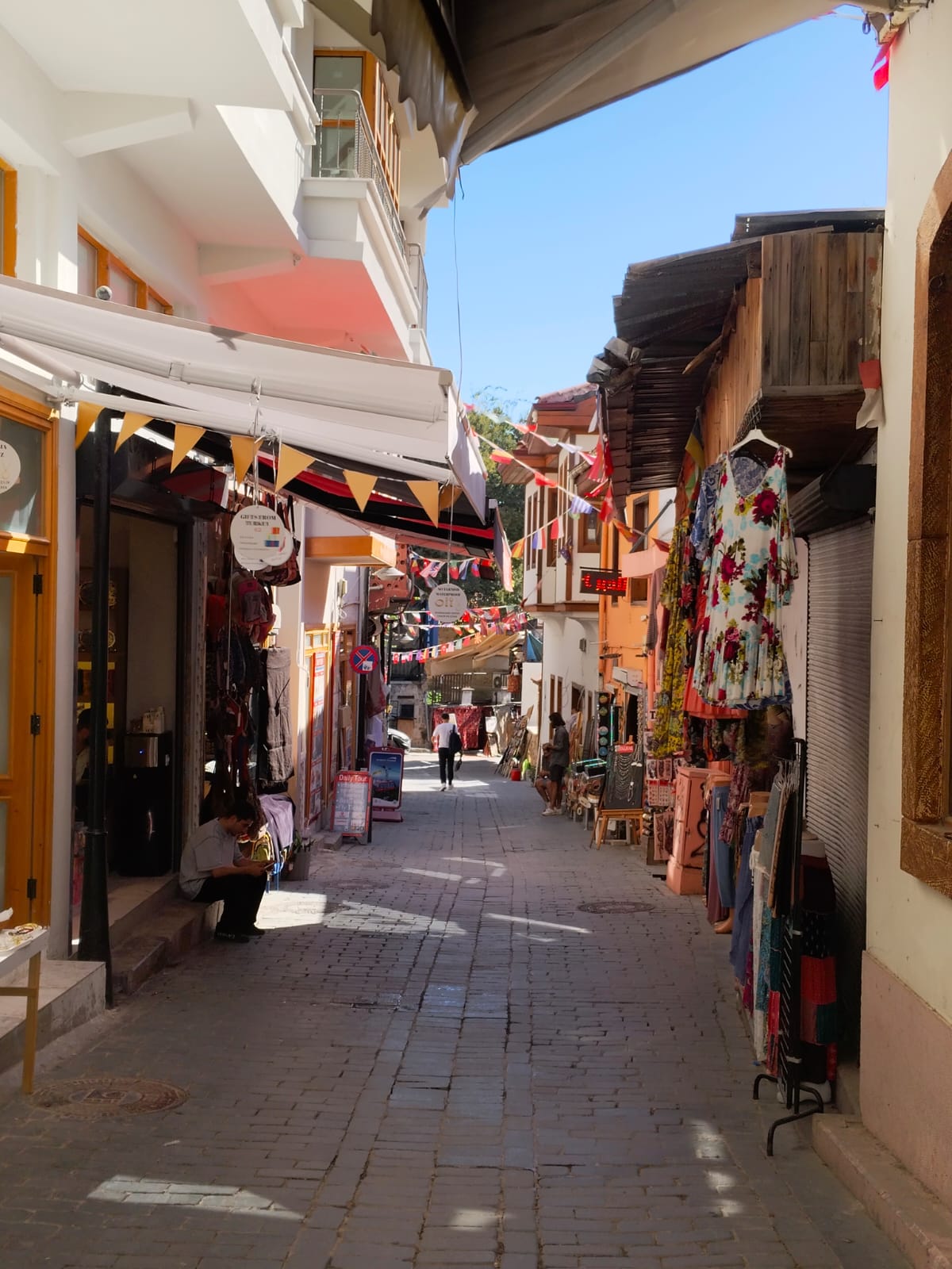 Turist Var Kazanç Yok (2)