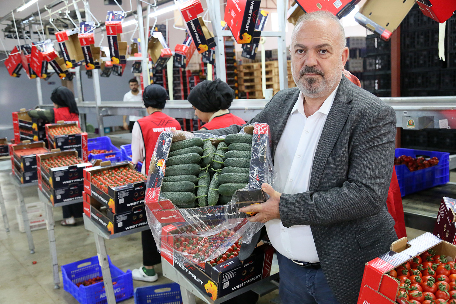 U K R A Y N A N I N D O M A T E S V E D I K E N L I S A L A T A 987692 293224