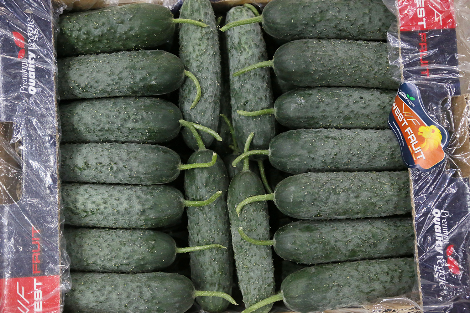 U K R A Y N A N I N D O M A T E S V E D I K E N L I S A L A T A 987697 293224