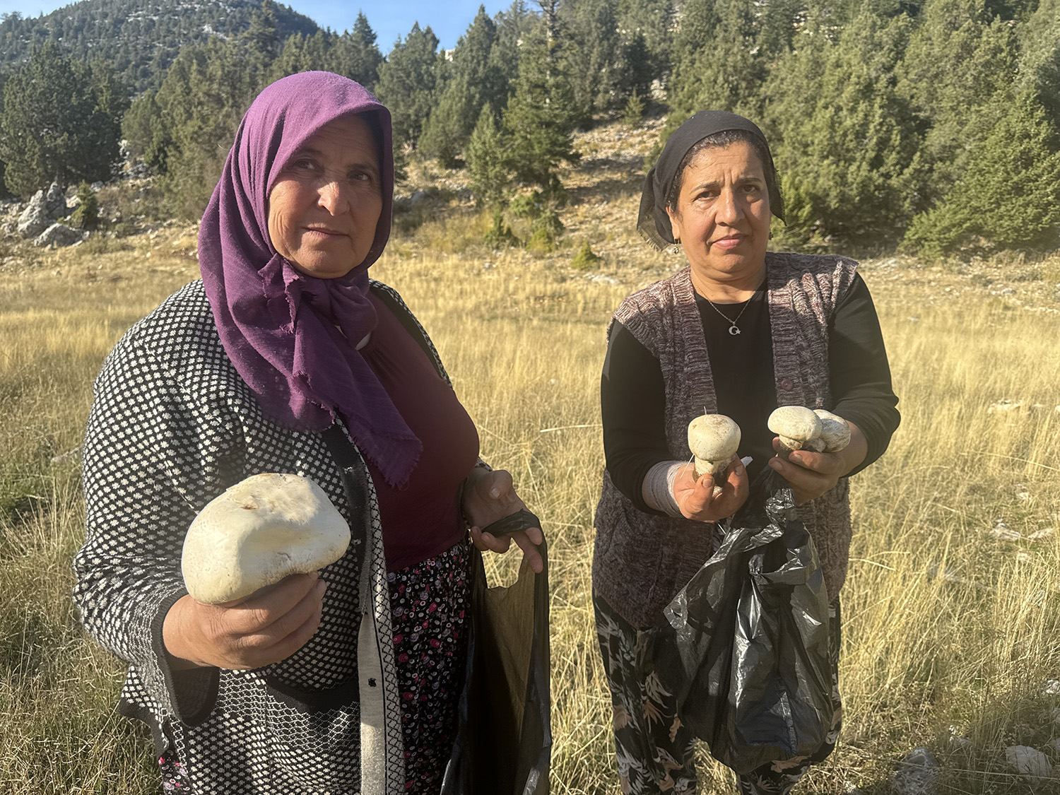 Yağmurla Birlikte Mantar Sezonu Açıldı (2)