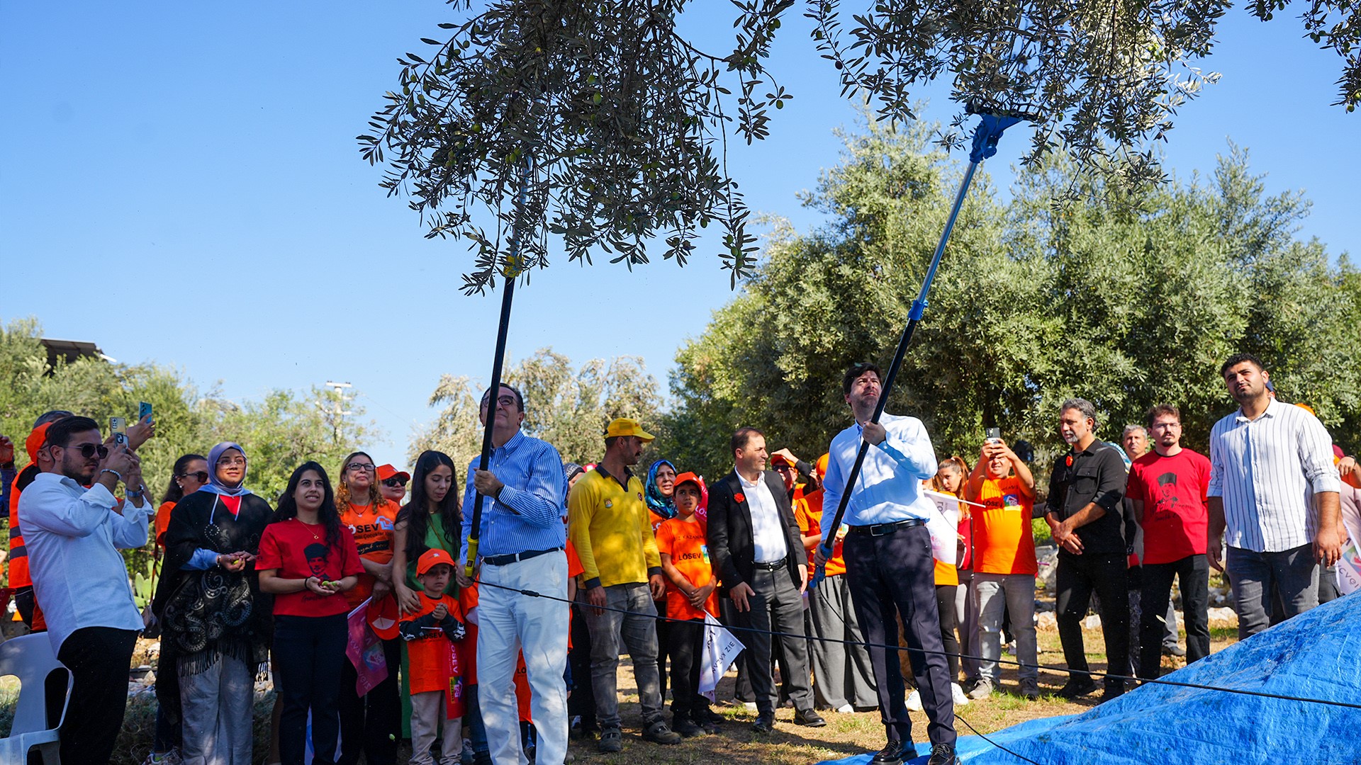 Zeytin Tanesi Aslında Bir Iyiliğin Tohumu (2)