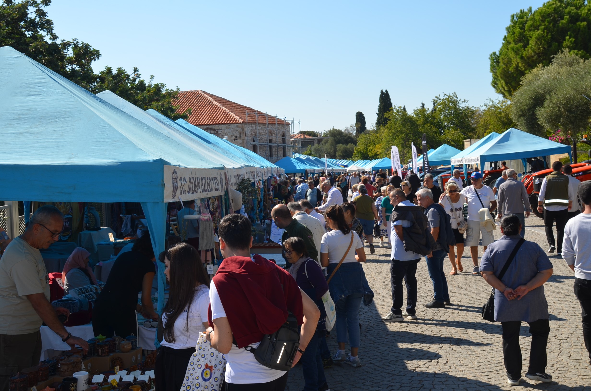 'Zeytinyağı Tadım Rekoru' (3)