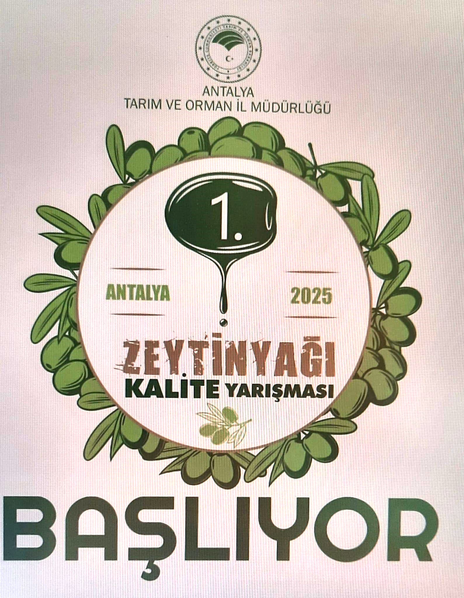 Zeytinyagi Yarisma