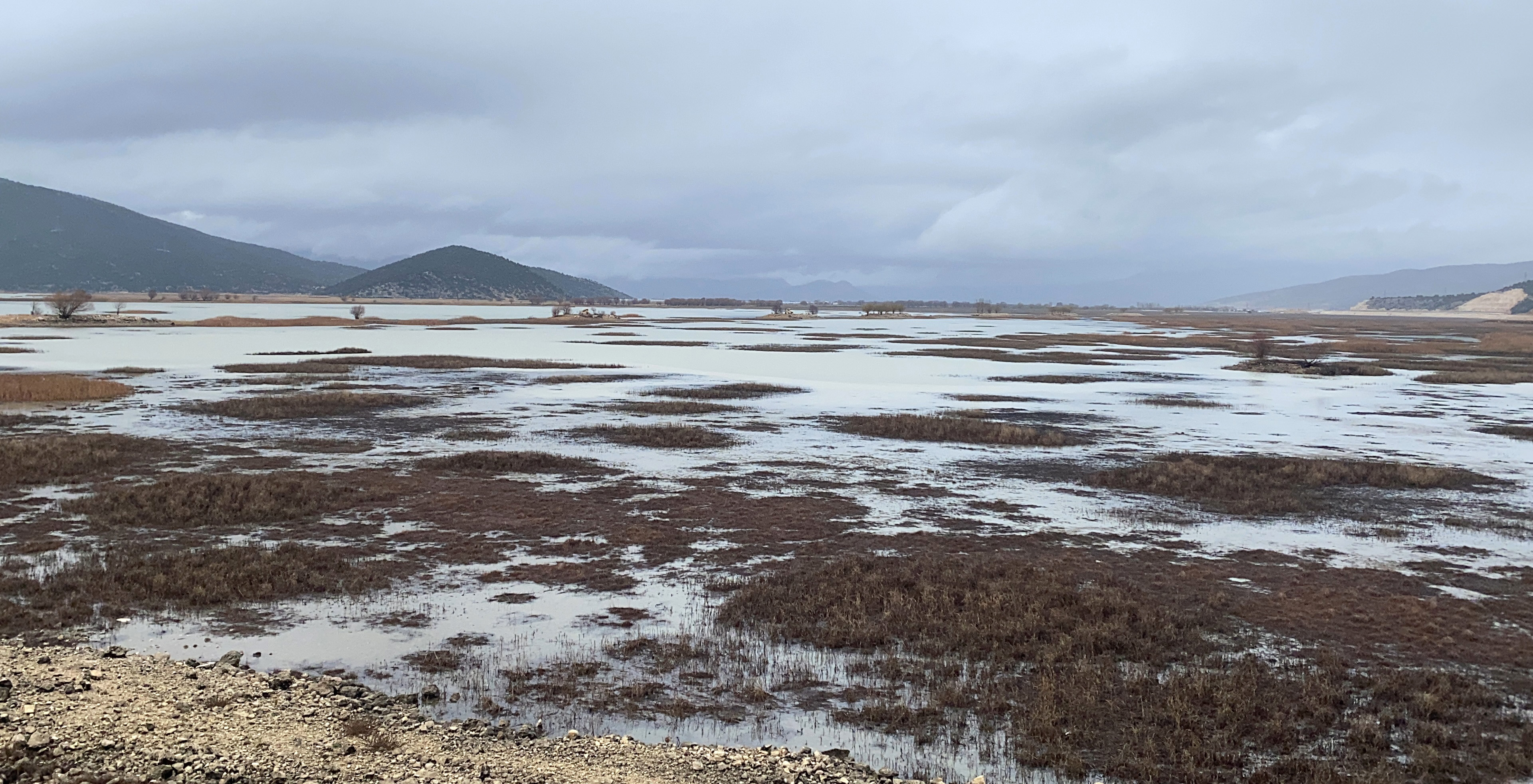 A N T A L Y A N I N S U K A Y N A K L A R I N D A A Z A L M A V E 1007486 298894