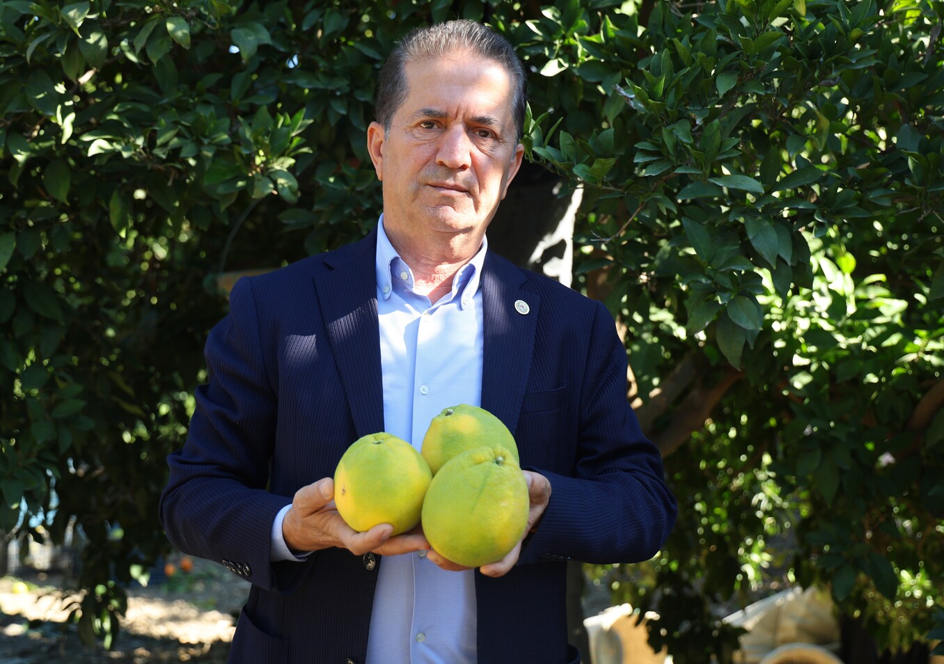 Adanada Portakal Hasadı Ne Zaman Başlar (1)