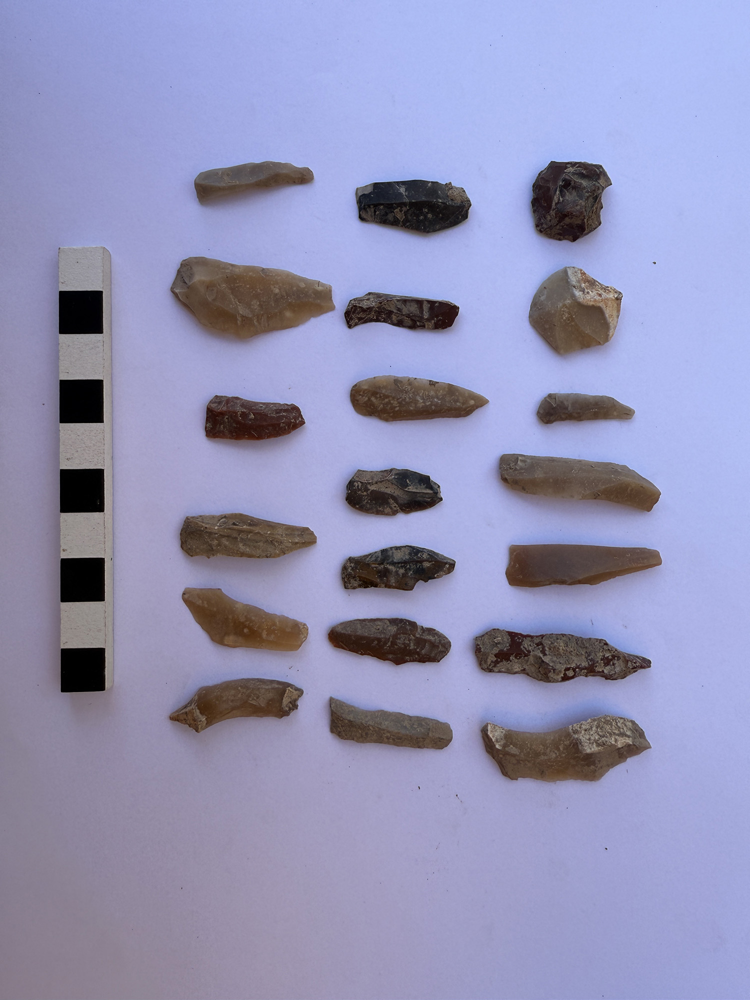 Akdeniz Üniversitesi Dünyaya Işık Olacak (1)