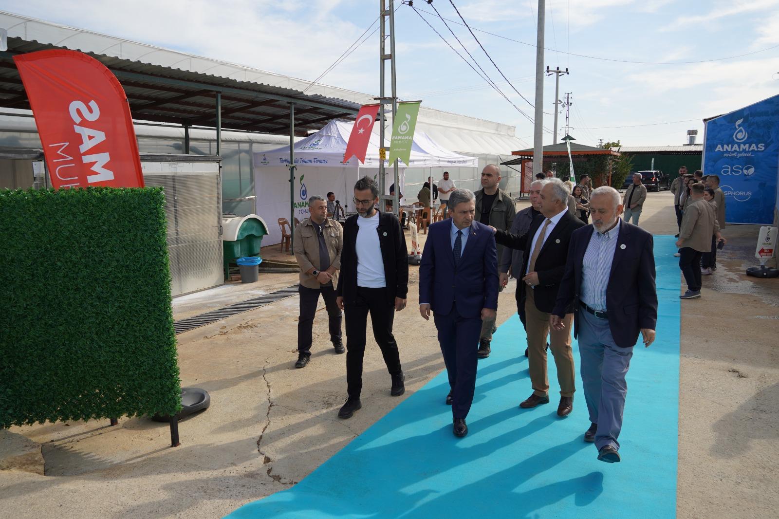 Anamas Tohum Vali Sahin (1)