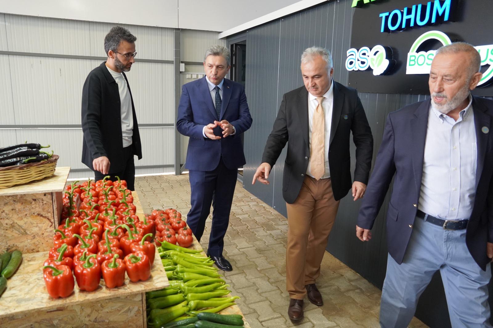 Anamas Tohum Vali Sahin (2)