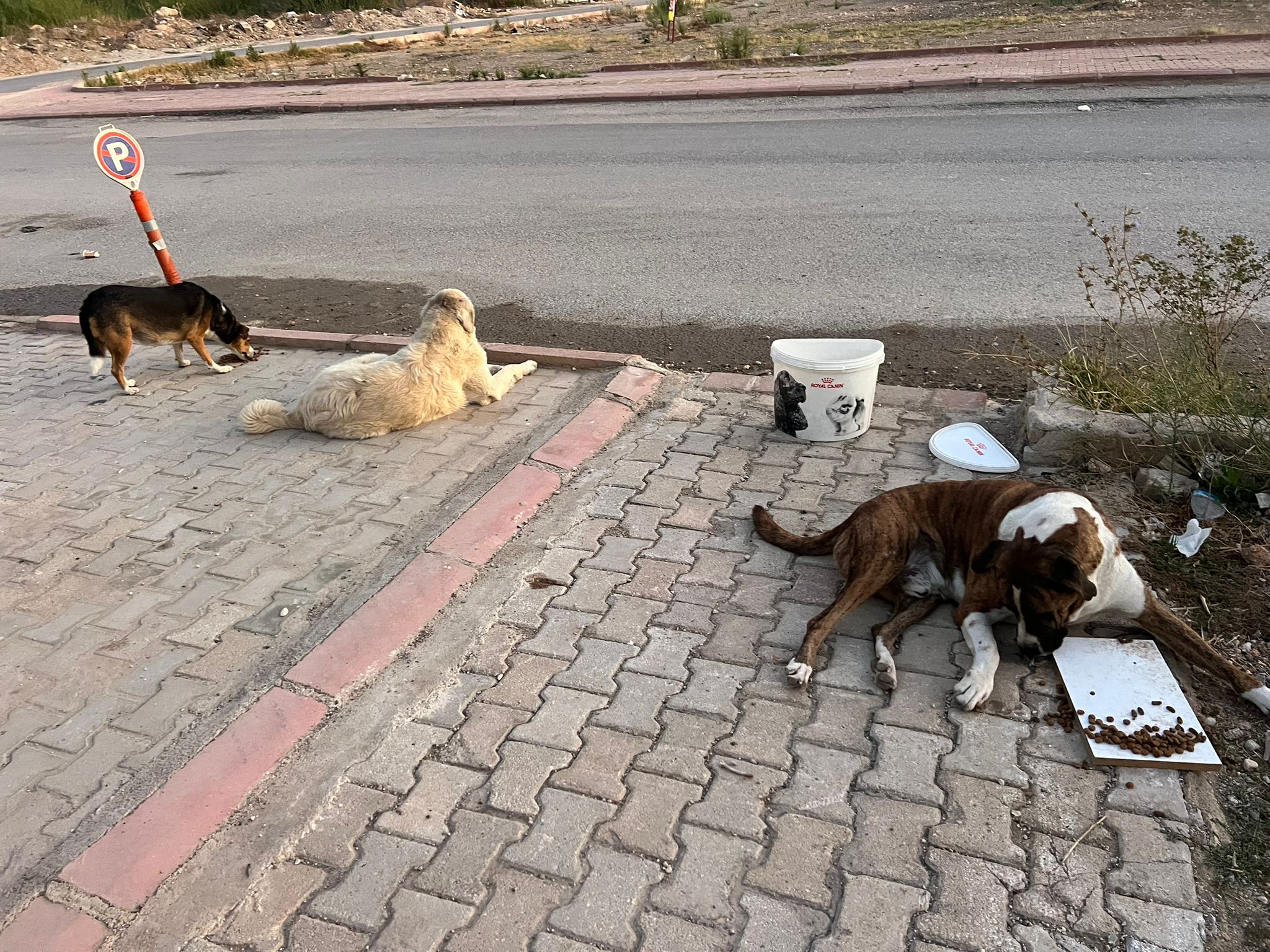 Antalya Büyükşehir Belediyesi Ile Ilgili Şok Iddia (5)