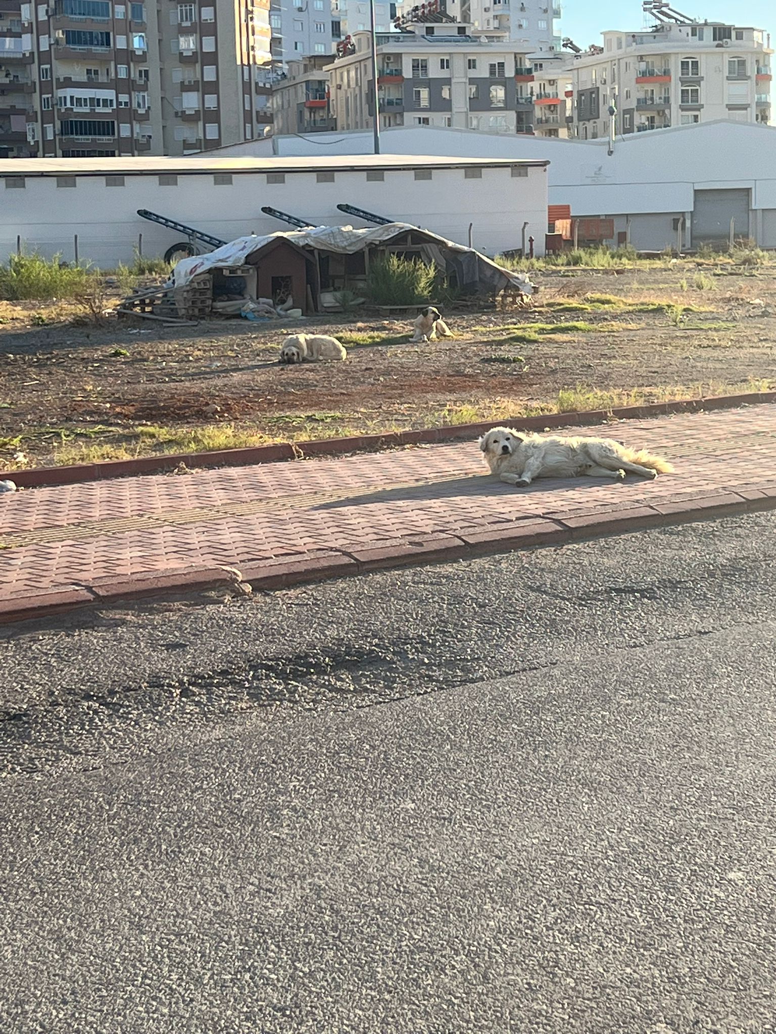 Antalya Büyükşehir Belediyesi Ile Ilgili Şok Iddia (9)