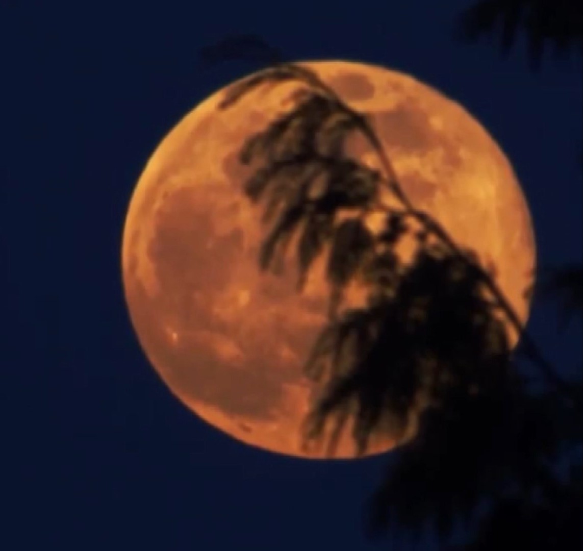 Antalya Kunduz Dolunayi (2)