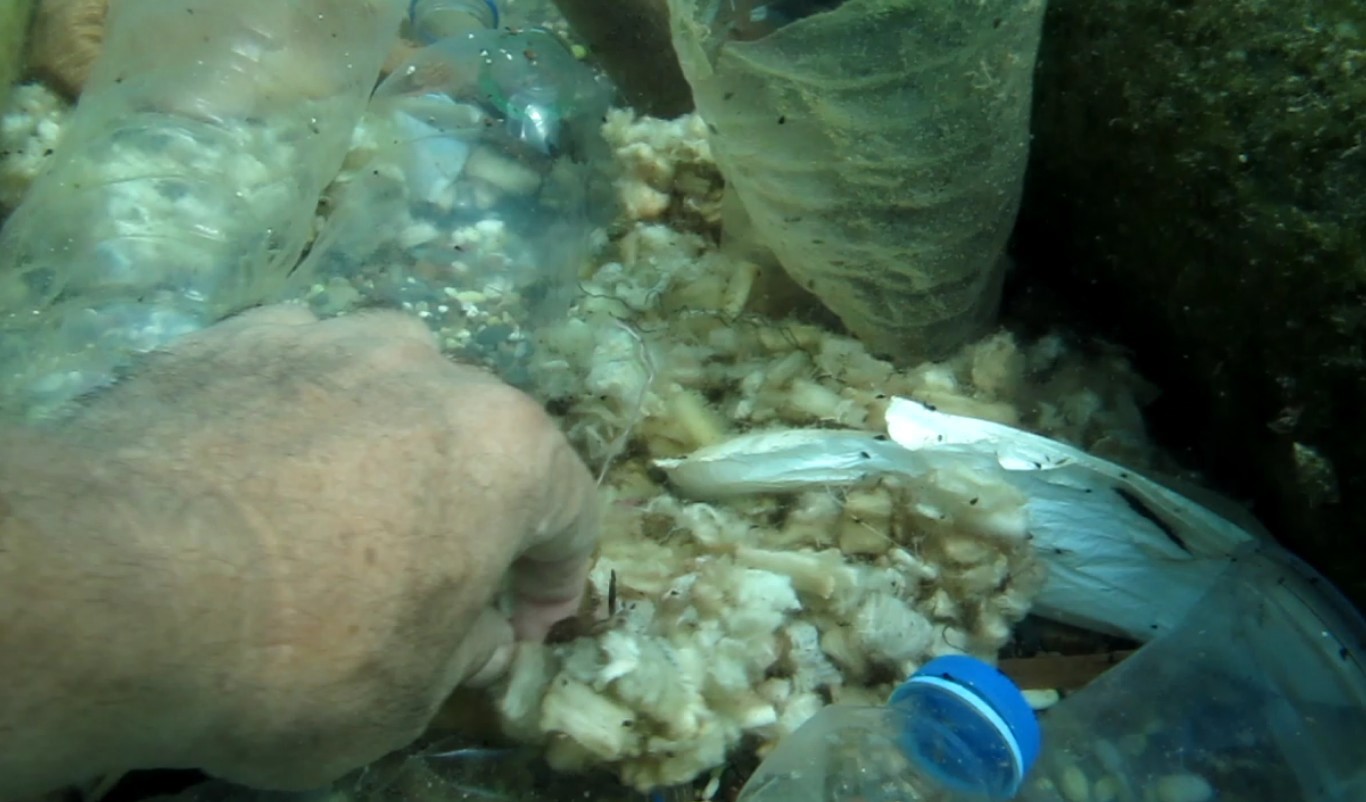 Antalya Pamuk Tarlasına Döndü (7)