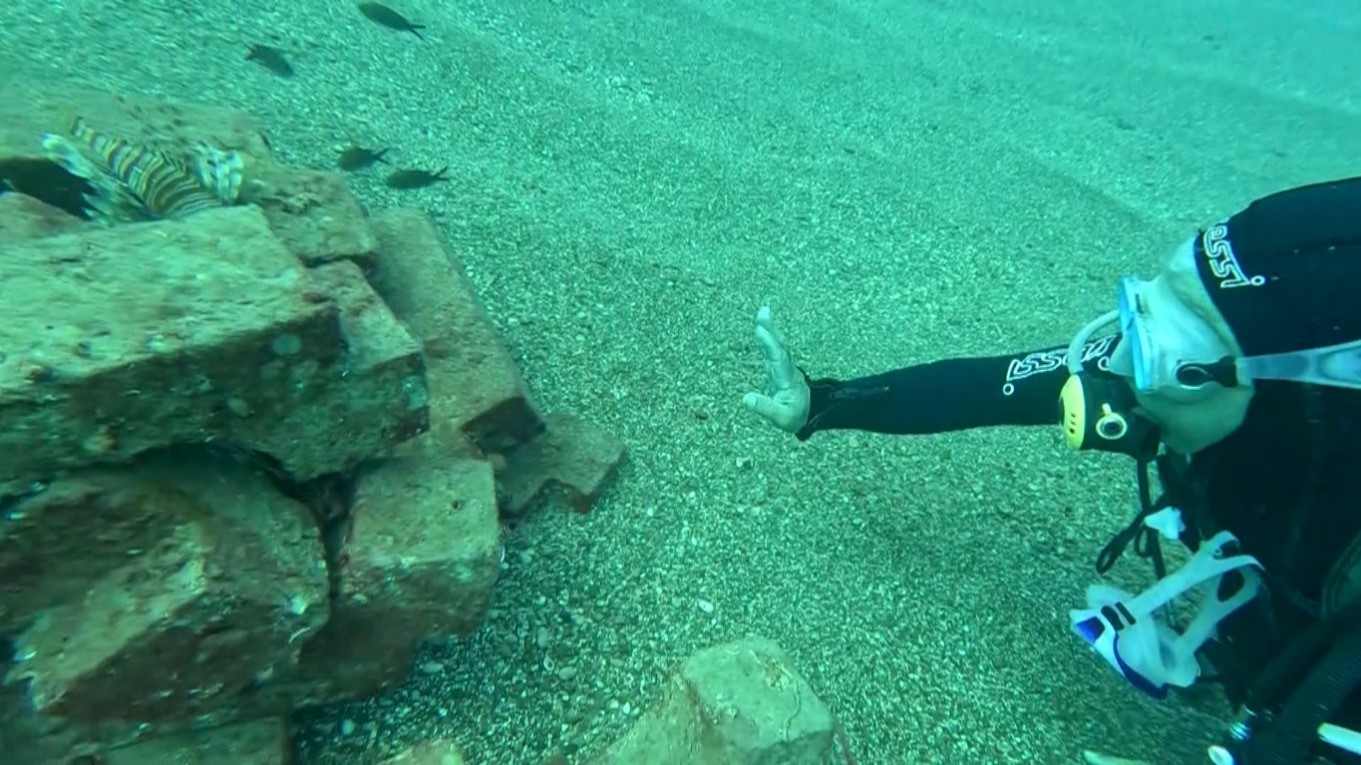 Antalya Sahillerinde 12 Tür Barış Içinde Yaşıyor (4)