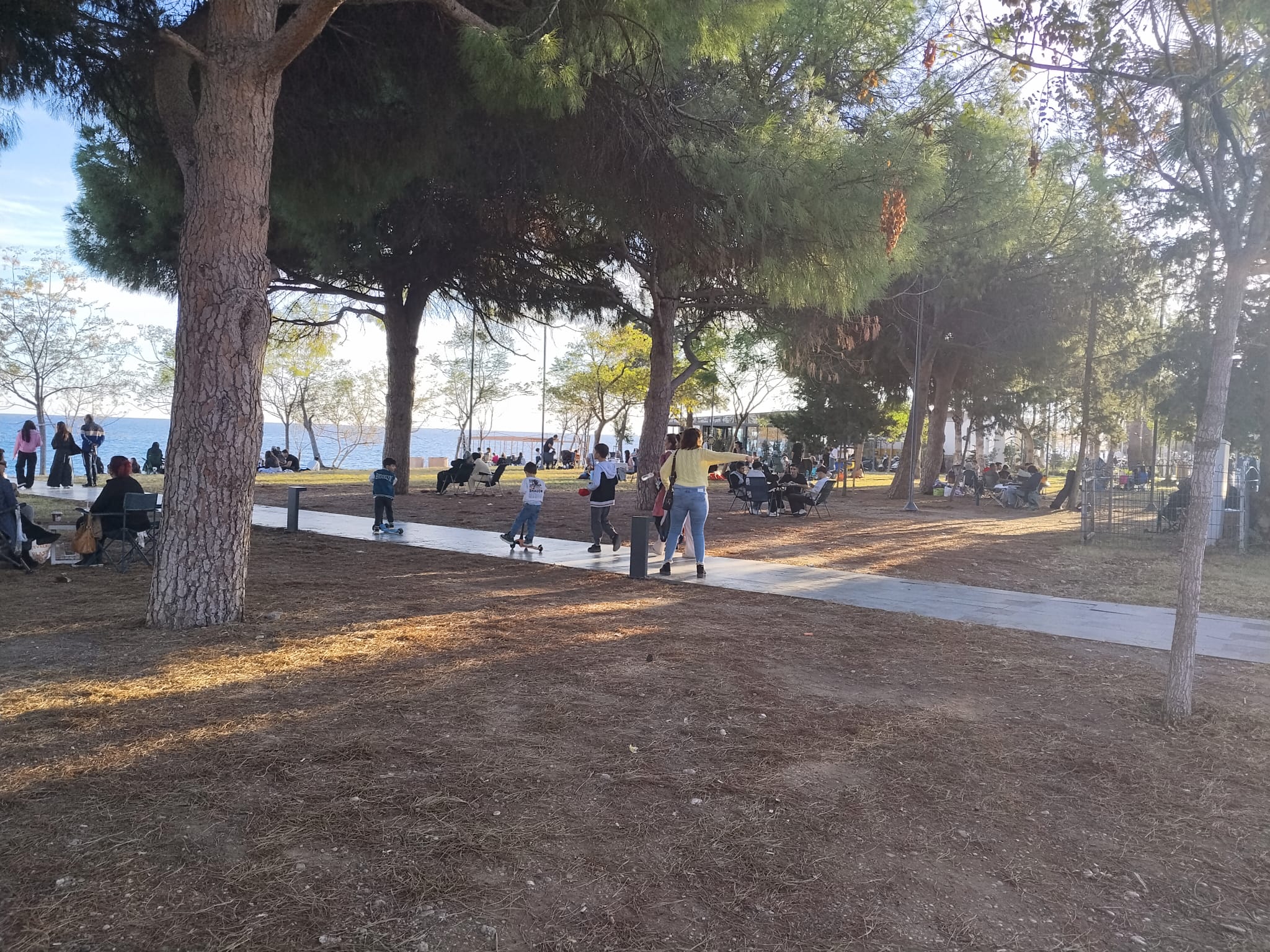 Antalya Sokağa Akın Etti (2)