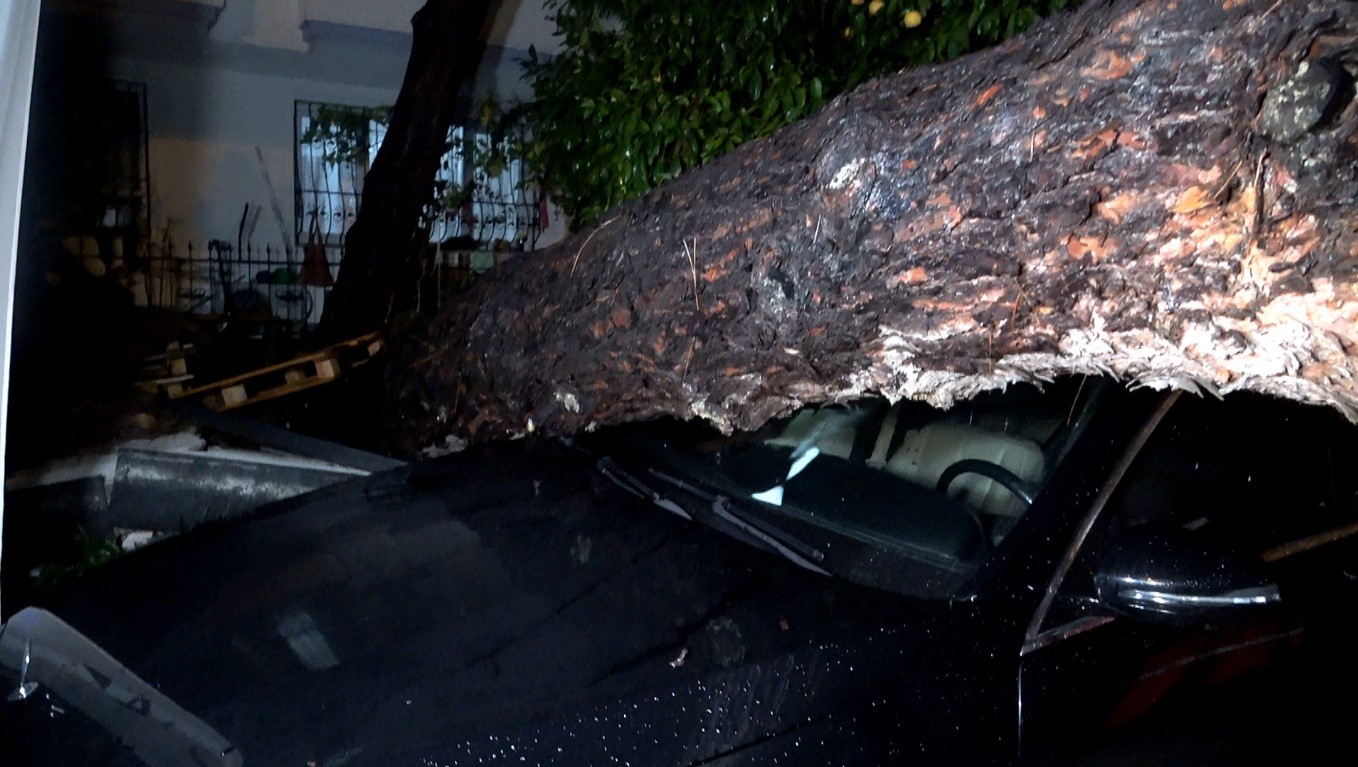 Antalya'da Yağmur Ve Şiddetli Rüzgar 10 Metrelik Ağacı Devirdi (1)