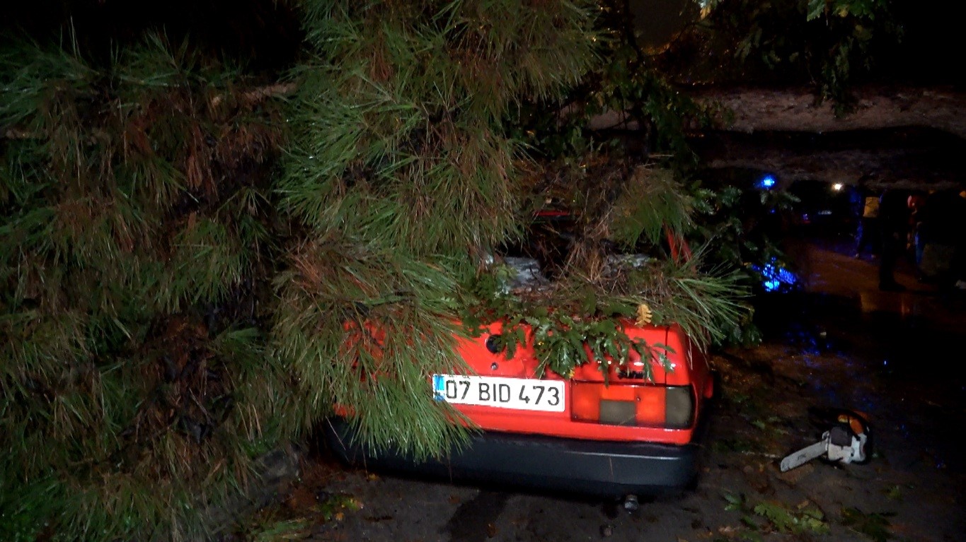 Antalya'da Yağmur Ve Şiddetli Rüzgar 10 Metrelik Ağacı Devirdi (2)