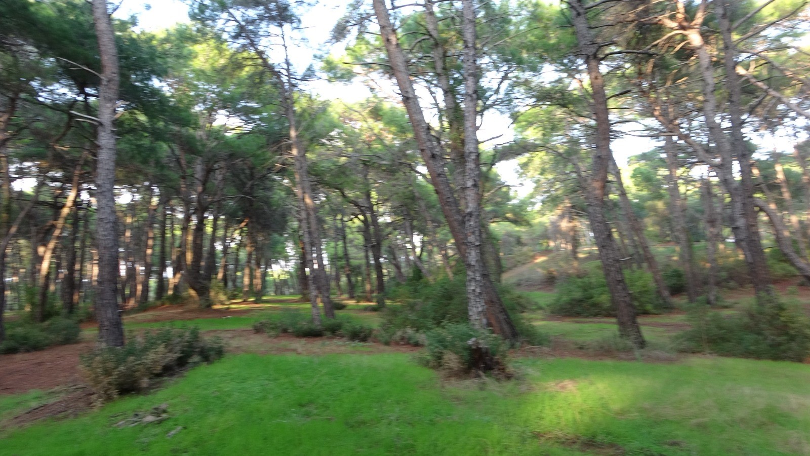 Antalya’da Yasağa Uymayanlara Ceza Yağacak (3)