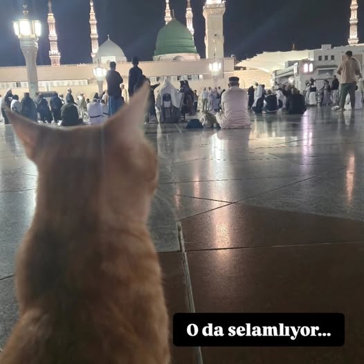 Antalya’nın Eski Belediye Başkanı Umre’ye Gitti Çektiği Görüntüler Dikkat Çekti (1)