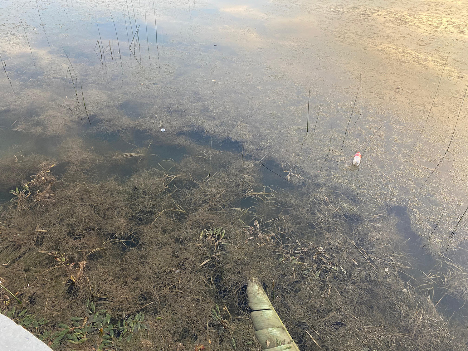 Antalya’nın Mega Projesi Bataklığa Döndü (4)