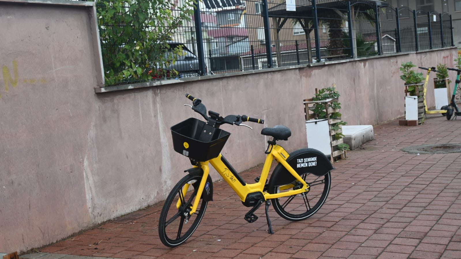 Antalya’nın ‘Tazı’sı Trafiğe Nefes Aldırdı (3)