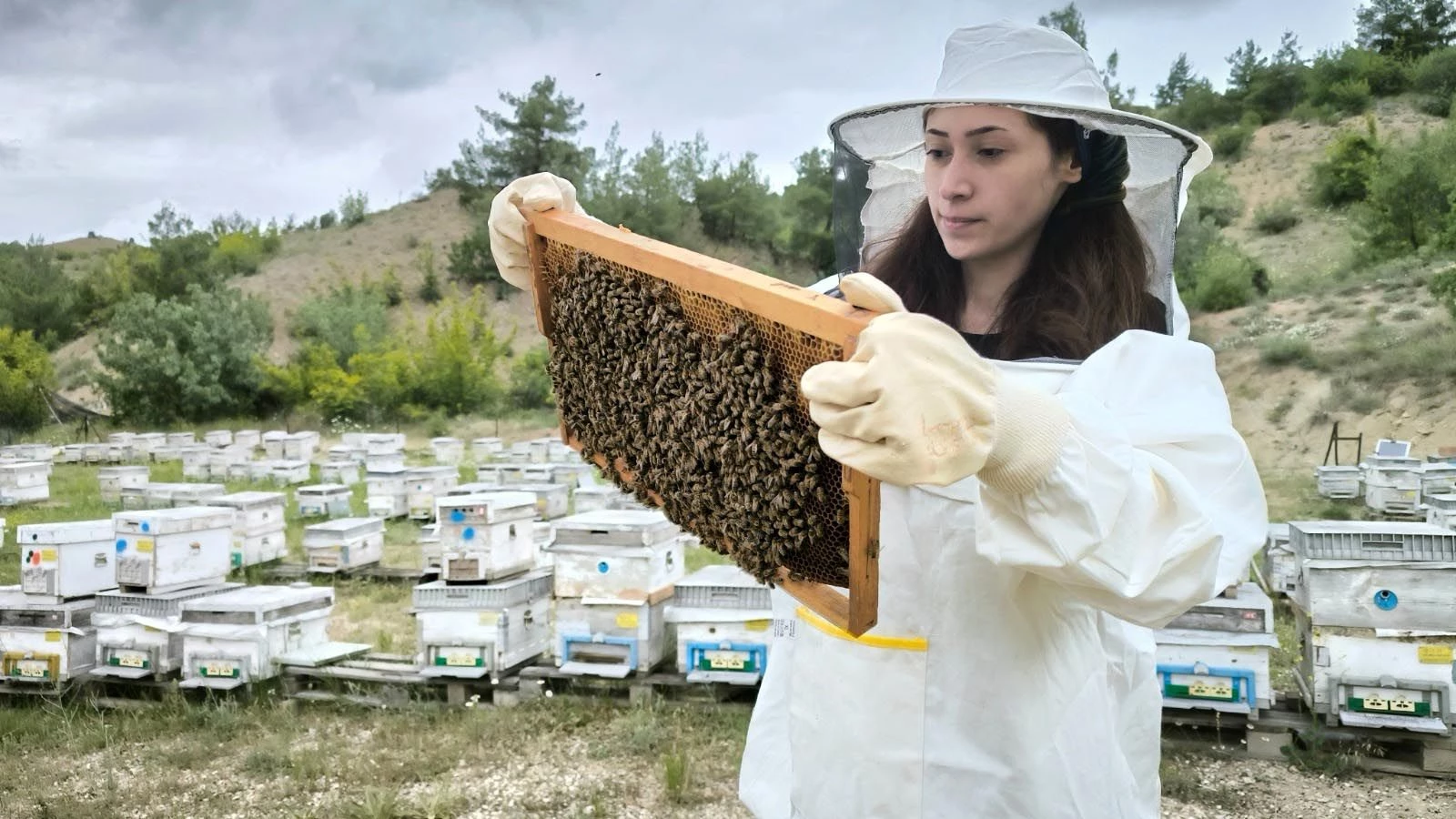 Aricilik Turizmi Antalya