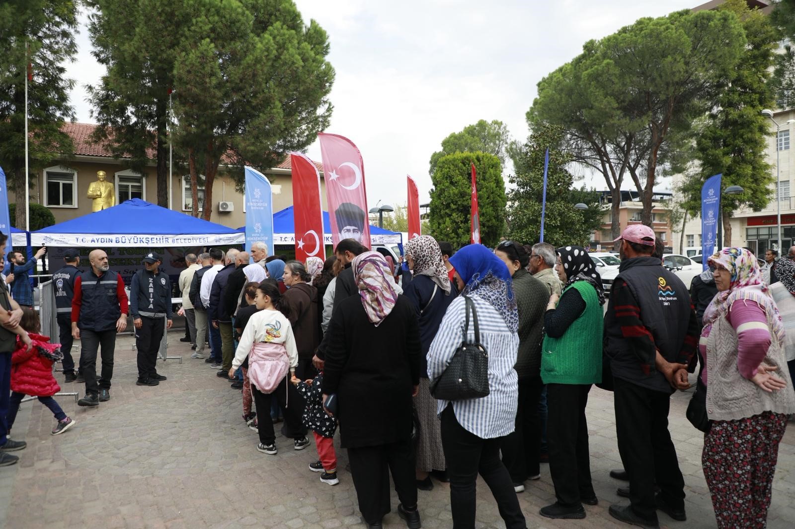 Aydin Ata Tohumu (2)