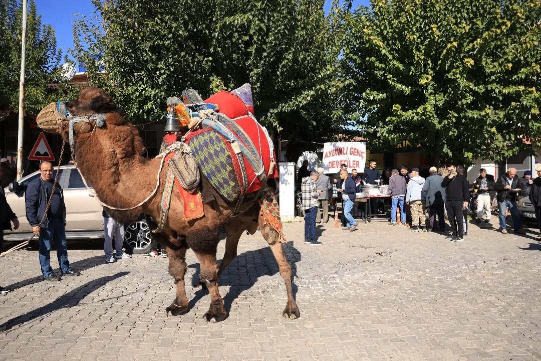 Aydınlı Deveciler Havut Hayrında Bir Araya Geldi (1)