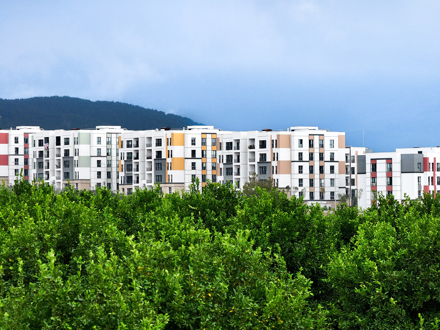 Bakan Kurum, Konut Sayılarını Açıkladı (1)