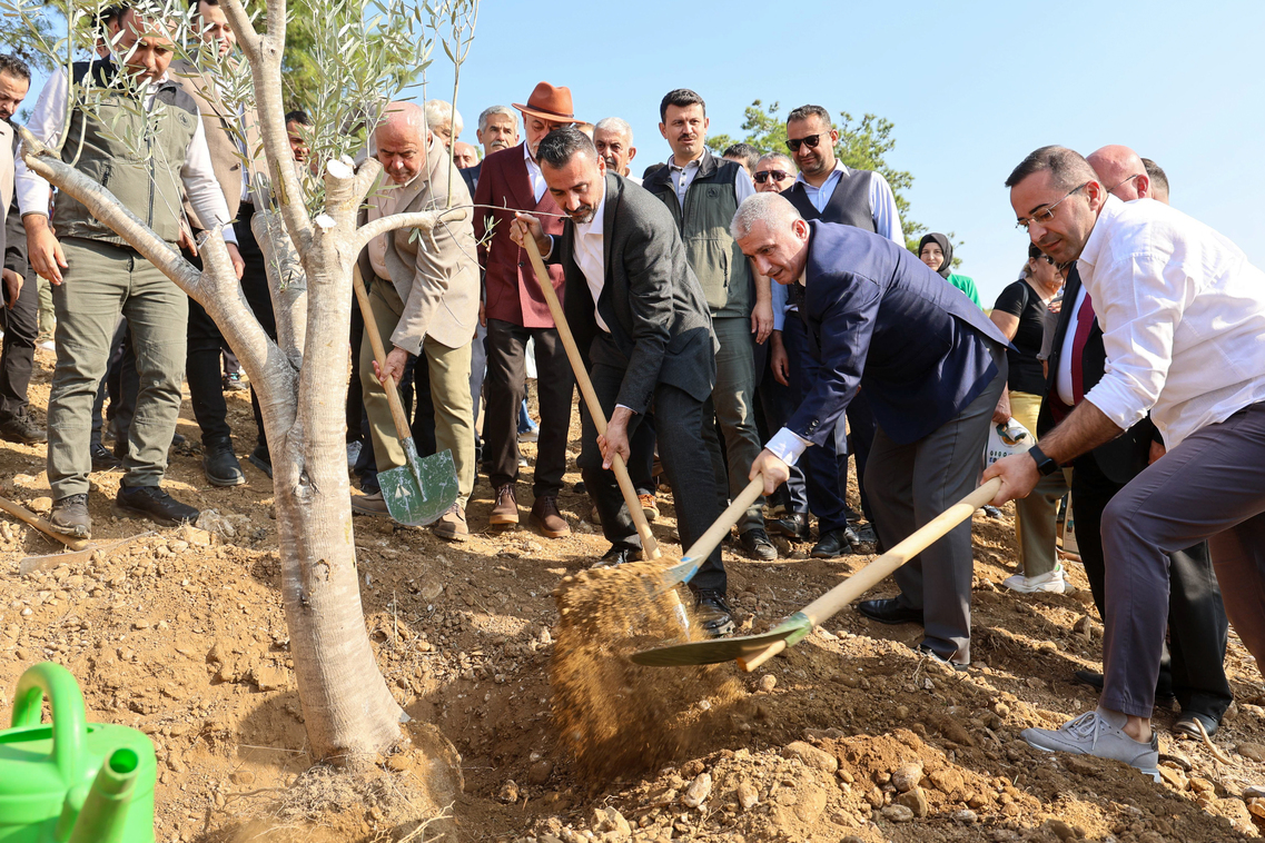 Başkan Vekili Çiçek, 11 Kasım Milli Ağaçlandırma Günü Fidan Dikimine Katıldı (5)-1