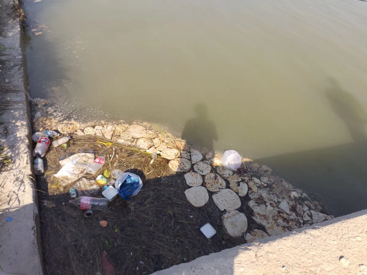 Boğaçayı Kokuyor (2)