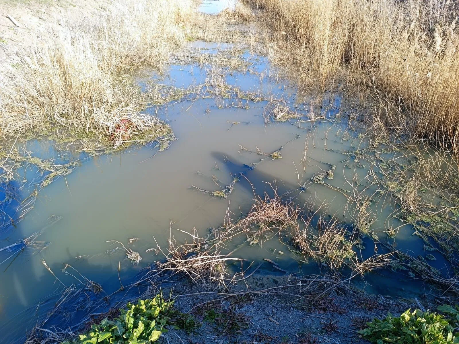 Bucak Kestel Köyü Nerede (1)-1
