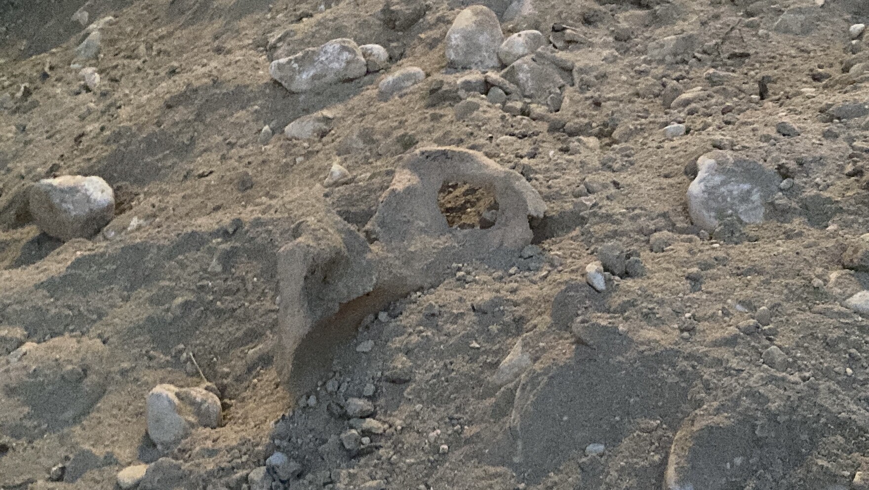 Burdurda Belediye Ekipleri Insan Kemikleri Buldu (1)