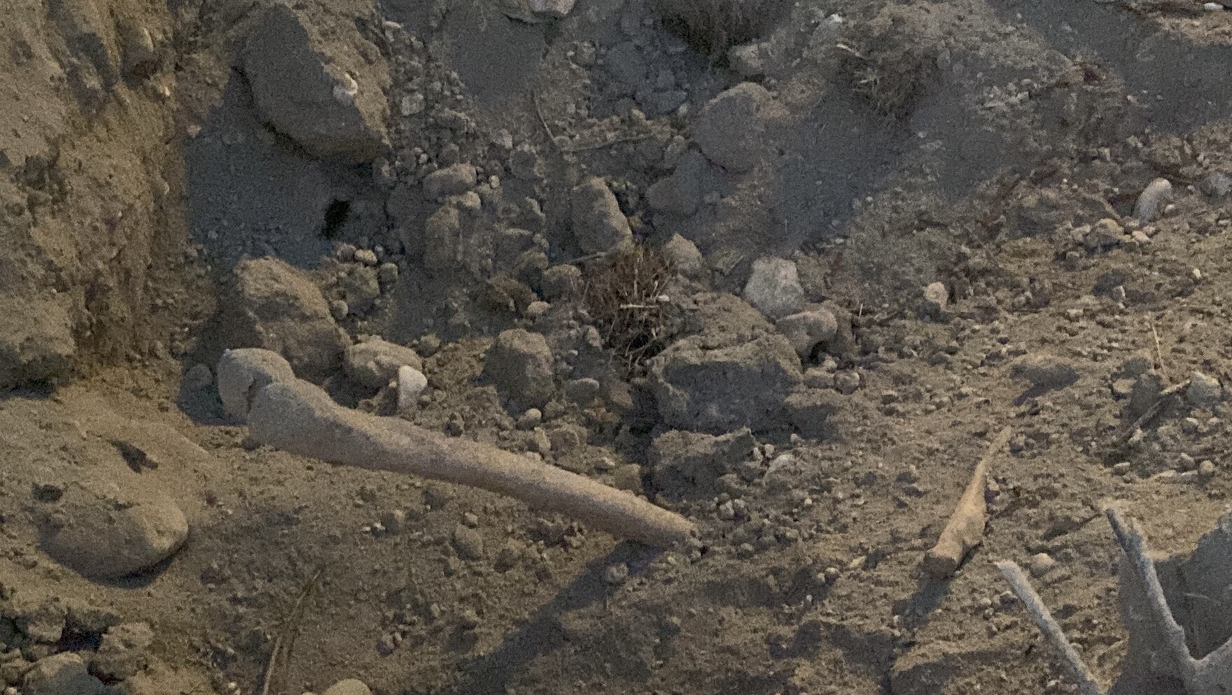 Burdurda Belediye Ekipleri Insan Kemikleri Buldu (2)