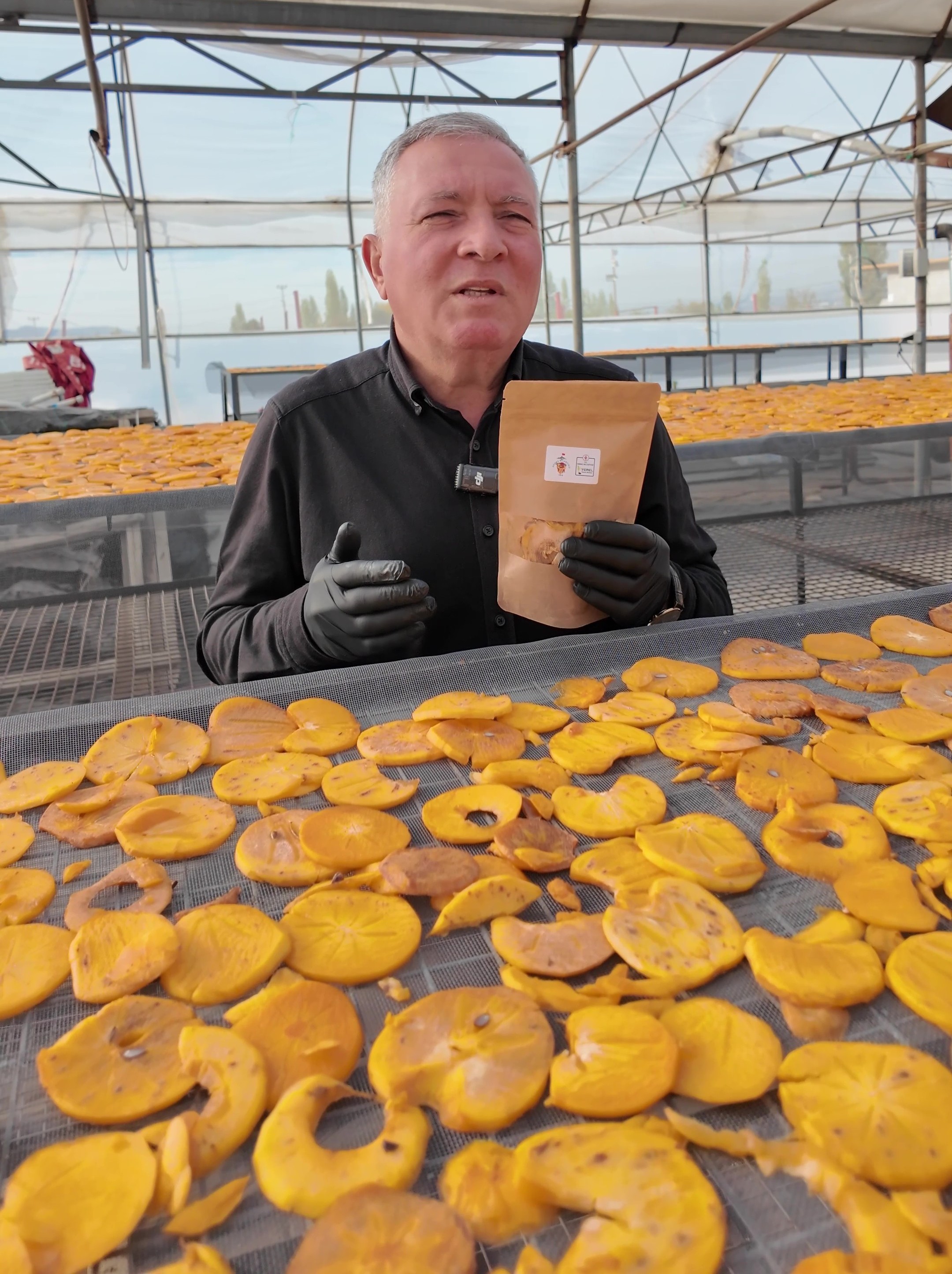 Cennet Hurması Nerede Yetişir (3)