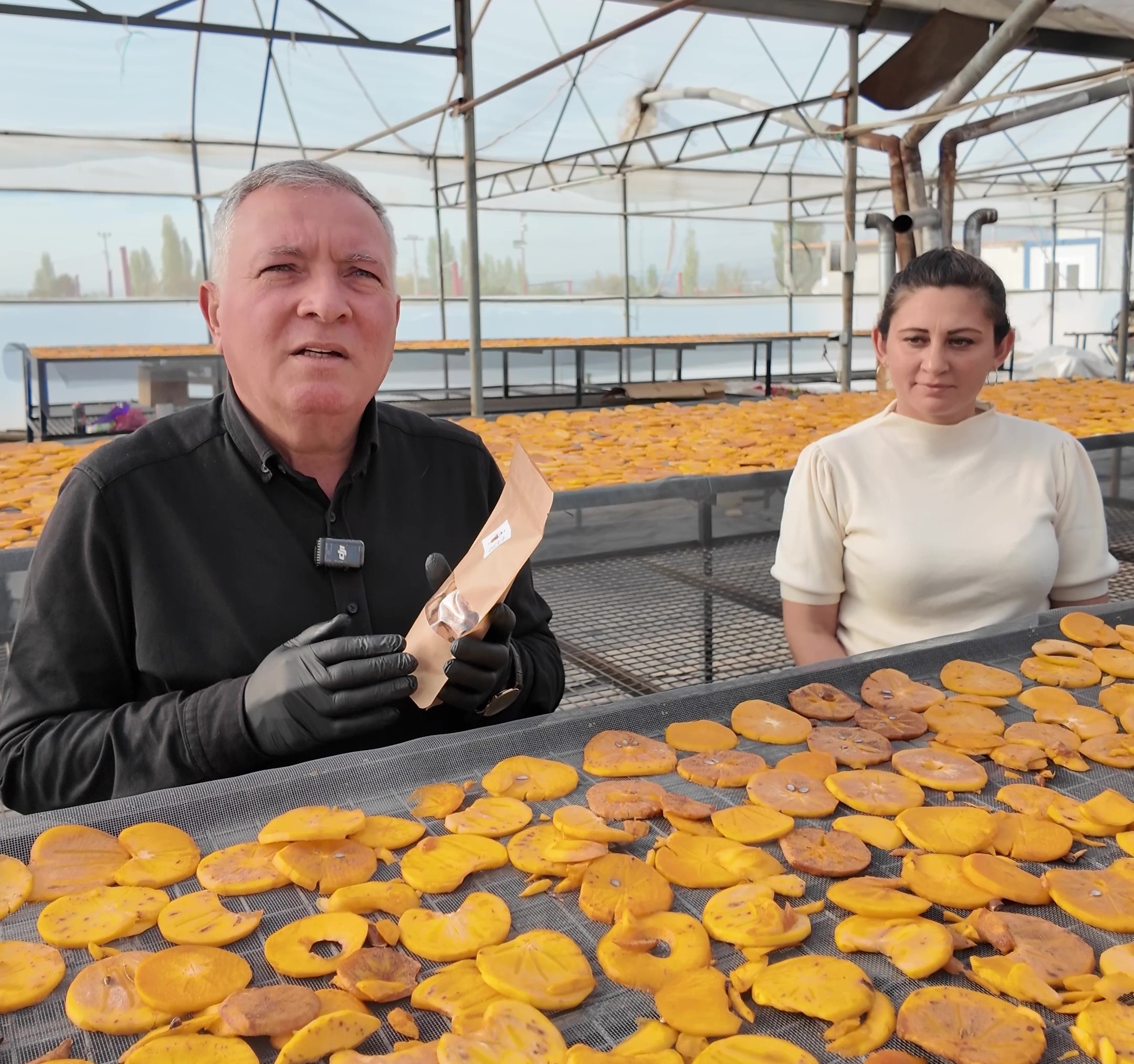 Cennet Hurması Nerede Yetişir (8)
