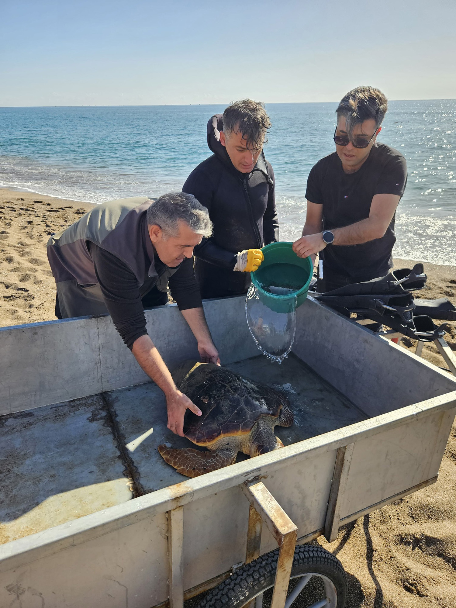 D E N I Z D I B I N D E B A L I K A G L A R I N A T A K I L I Y A R A 1019098 302358