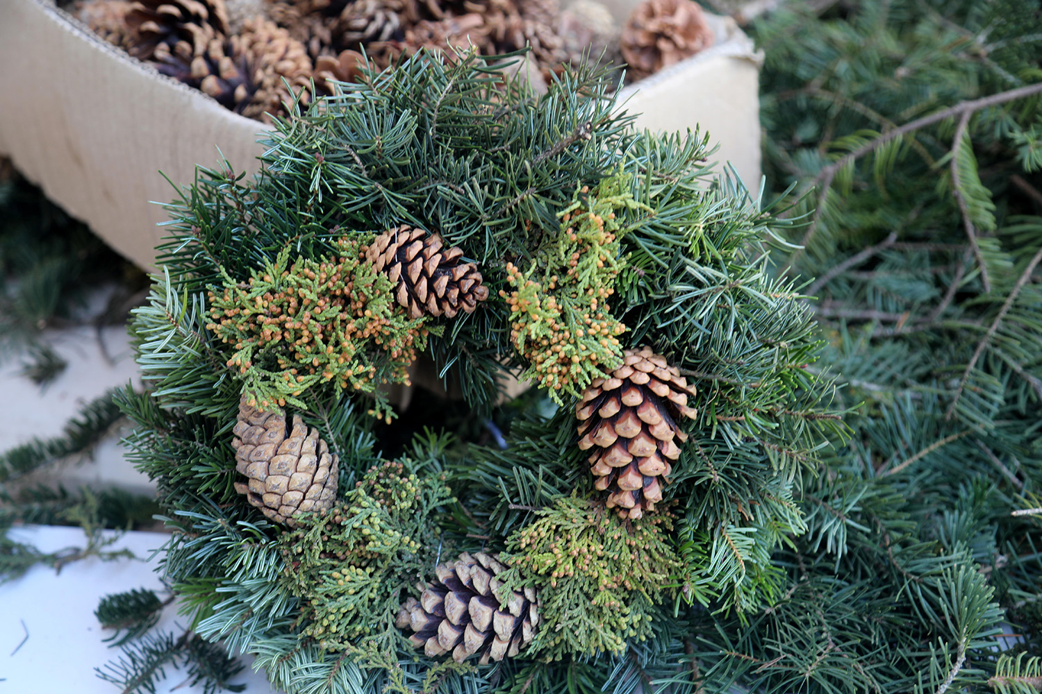 E L E M E G I N O E L C E L E N K L E R I 20 U L K E Y E I H R A C 1025549 304337