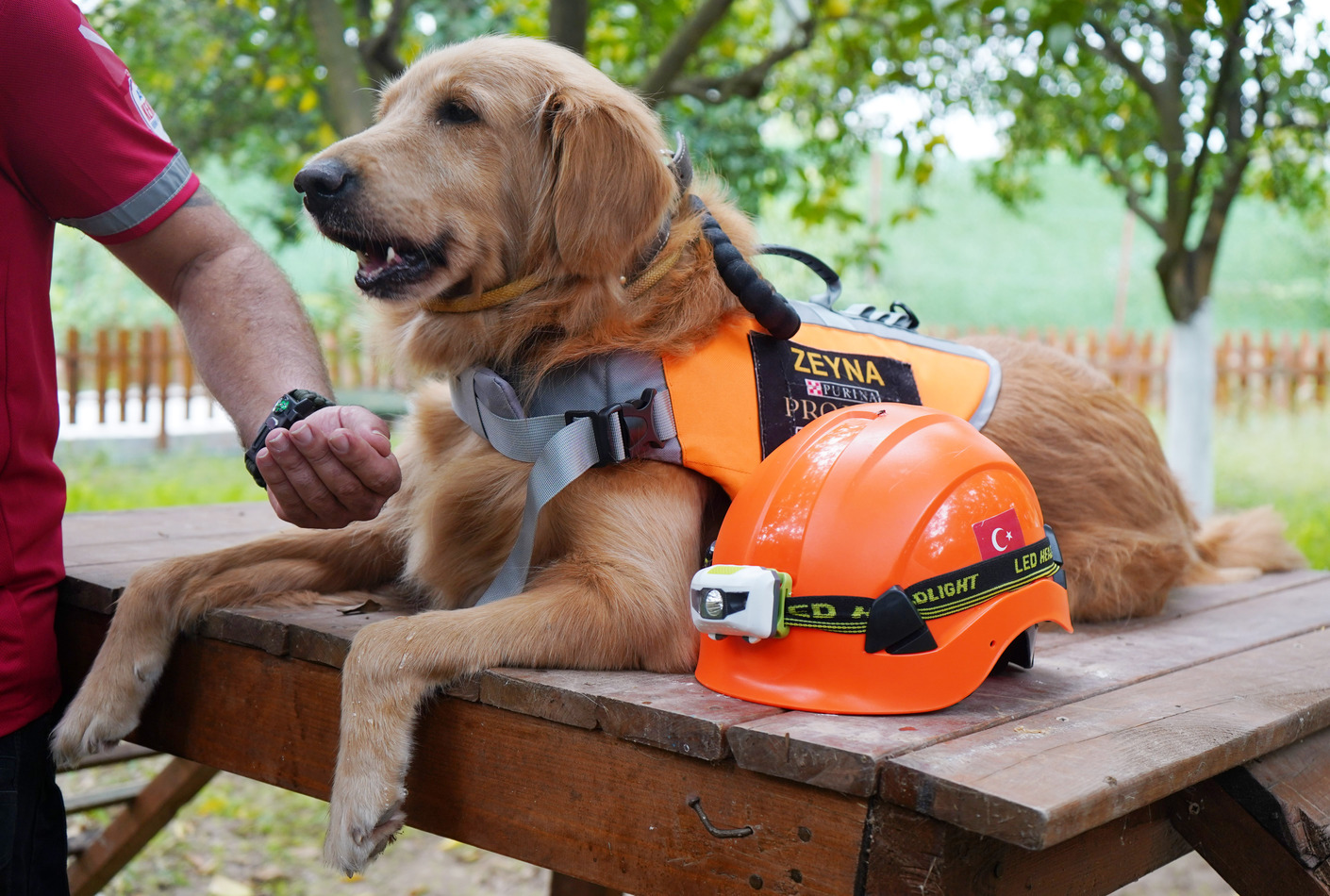 E V C I L K O P E K L E R D E A R A M A K U R T A R M A T I M L E R 1007491 298895