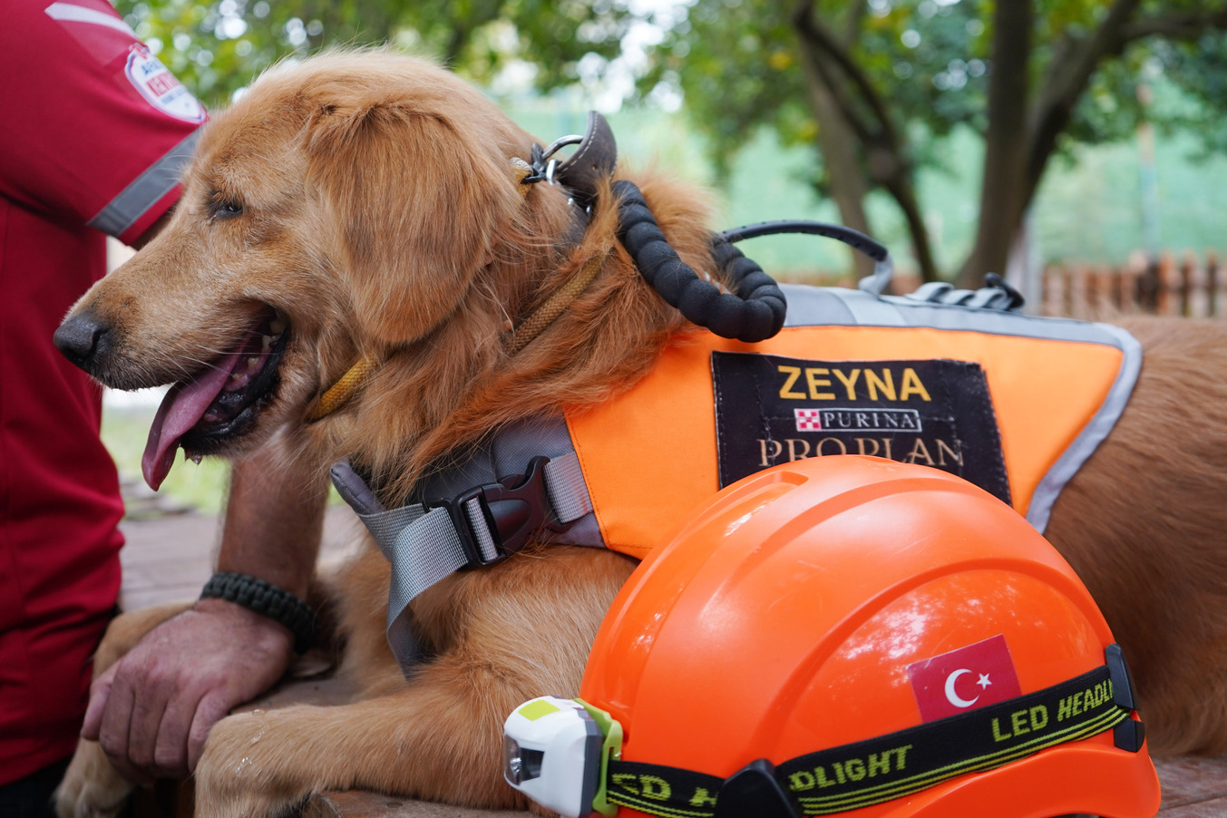 E V C I L K O P E K L E R D E A R A M A K U R T A R M A T I M L E R 1007493 298895