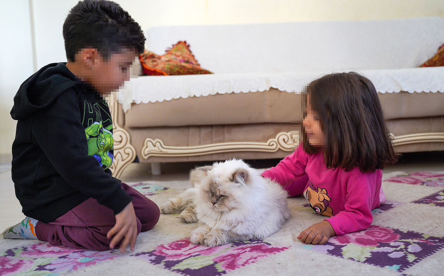 E V D E N T A H L I Y E K A R A R I V E R I L E N D E D E V E 3 T 1013068 300578